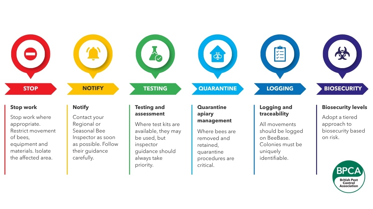 Beediseaseawarenessandbiosecurityforpestprofessionals7